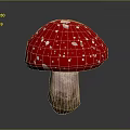 Red Mushroom With White Spots Fresh Natural Food Ingredient For Cooking