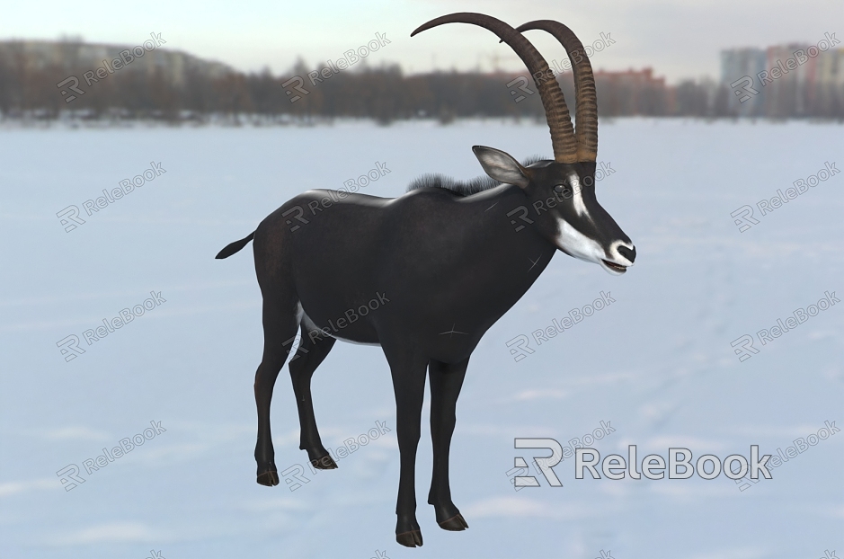 Sable Antelope Animals Wildlife model