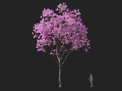 Vibrant Purple Flowering Tree With Tall Trunk And Lush Canopy Near Person Silhouette 3d model