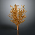 Minimalist Decorative Wooden Tree With Delicate Branches On Dark Background