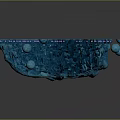 modern eukaryotic cell cross section cell structure cell tissue 3d model