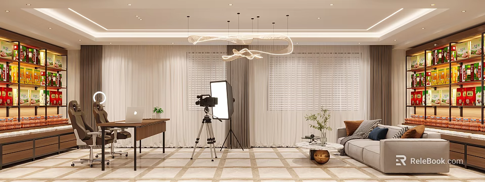 Modern Public Office Space With Desk Floor Lamp Curtains Green Plants And Sofa 3d model 