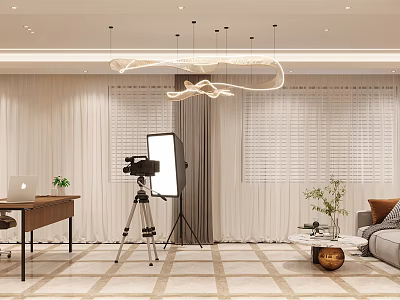 Modern Public Office Space With Desk Floor Lamp Curtains Green Plants And Sofa 3d model