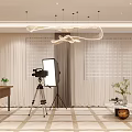 Modern Public Office Space With Desk Floor Lamp Curtains Green Plants And Sofa