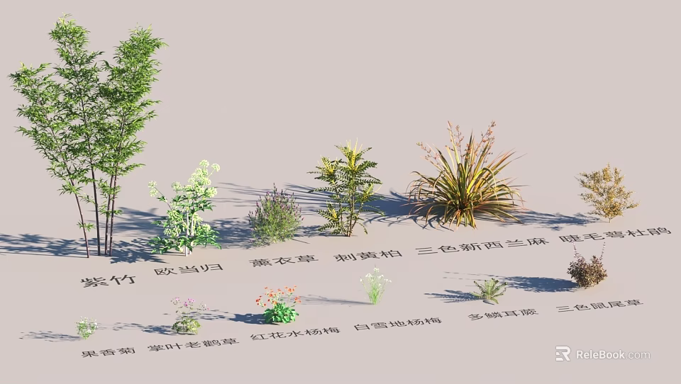 Garden Landscape Design with Bamboo Red Leaf Photinia Wisteria and Bougainvillea Plants 3d model 