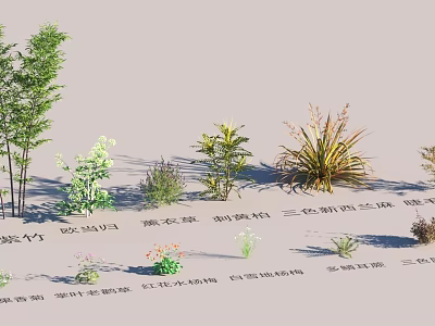 Garden Landscape Design with Bamboo Red Leaf Photinia Wisteria and Bougainvillea Plants 3d model
