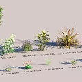 Garden Landscape Design with Bamboo Red Leaf Photinia Wisteria and Bougainvillea Plants