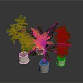 Fresh Culinary Herbs in Light Ceramic Pots for Home Cooking Preparation