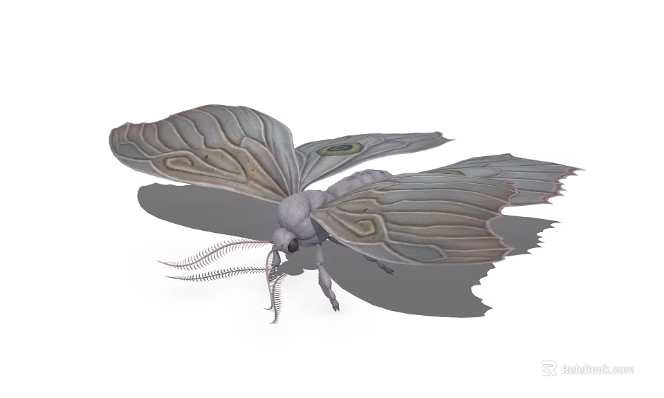 Large Patterned Moth With Intricate Wing Design And Long Antennae In Flight 3d model 