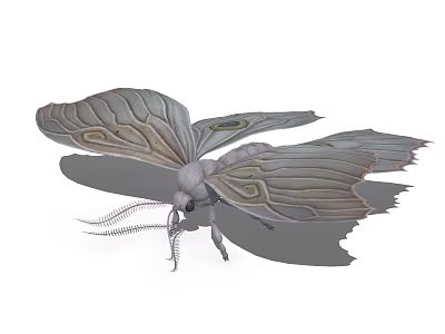 Large Patterned Moth With Intricate Wing Design And Long Antennae In Flight 3d model