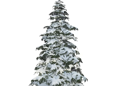 Evergreen Arbor With Snow Covered Branches And Lush Foliage 3d model