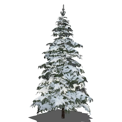Evergreen Arbor With Snow Covered Branches And Lush Foliage 3d model