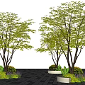 Green Leafy Tree with Trunks in White Planter and Purple Flowers Under Blue Sky