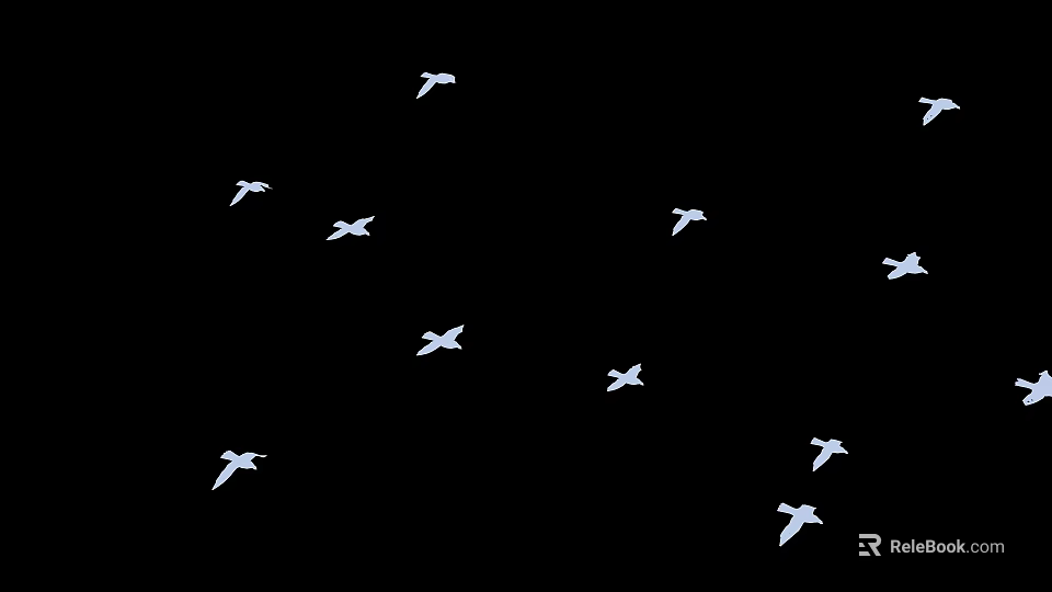 Beautiful Graceful White Flying Birds Soaring in Mid Air Against Black Background 3d model 