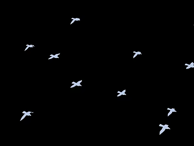 Beautiful Graceful White Flying Birds Soaring in Mid Air Against Black Background 3d model