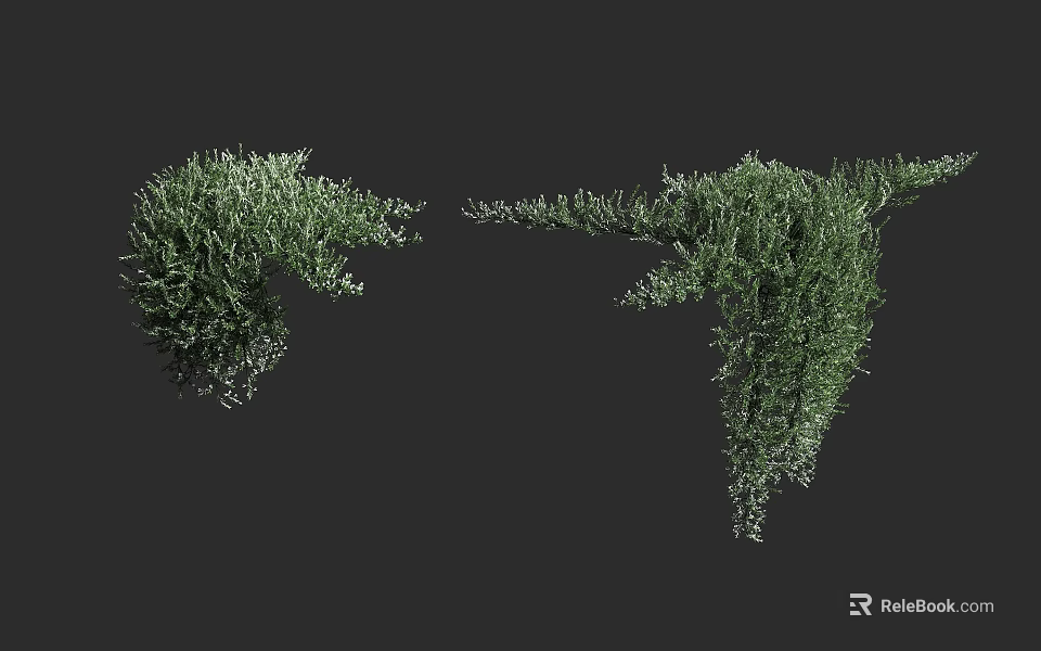 Different Shapes Of Lush Green Vines With Natural Foliage And Climbing Branches 3d model 