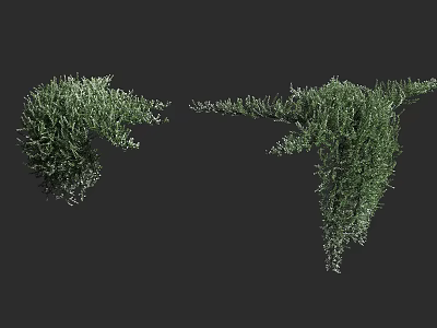 Different Shapes Of Lush Green Vines With Natural Foliage And Climbing Branches 3d model