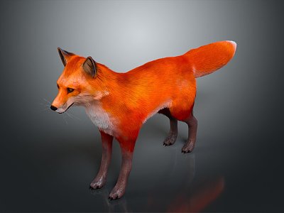 Fox Cartoon Fox Small Fox Cartoon Characters Cartoon Animals Cartoon Small Animals Game Characters model