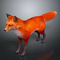 3D Modeled Orange Fox Game Movie Character With White Chest Standing On Gray Background