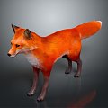 Fox Cartoon Fox Small Fox Cartoon Characters Cartoon Animals Cartoon Small Animals Game Characters 3d model