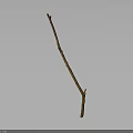 Single Slender Dry Leafless Natural Plant Branch Against Dark Background