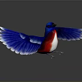 Blue Red White Bird with Spread Wings Standing on Black Background and Reflection 3d model