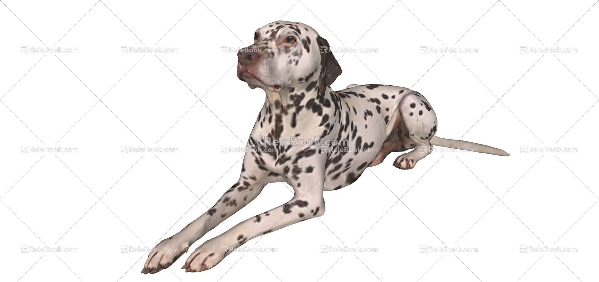 Modern Dog Animal Dog 3d model