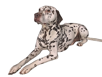 Modern Dog Animal Dog 3d model