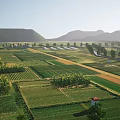 Aerial View of Green Farmland With Neat Plots Distant Mountains And White Sheds