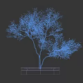Lush Green Arbor with Multiple Branches in Square Planter on Black Background