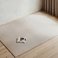 Quiet Square Carpet 3d model