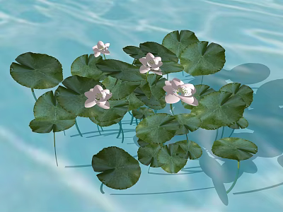 Beautiful Pink Water Lilies With Green Lily Pads Floating On Water Surface 3d model