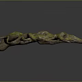 Detailed Tree Roots Covered In Vibrant Green Moss With Curved Branches