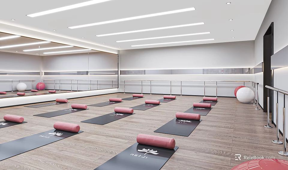 Spacious Fitness Studio With Wooden Floor Large Mirrors And Pink Yoga Wheels On Yoga Mats 3d model 