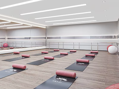Spacious Fitness Studio With Wooden Floor Large Mirrors And Pink Yoga Wheels On Yoga Mats 3d model
