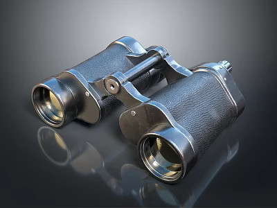 Vintage Binoculars With Metallic Frame Leather Surface And Dual Lenses Household Items 3d model