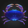 Vibrant Blue And Purple Crab As Colorful Aquatic Animal With Shiny Shell