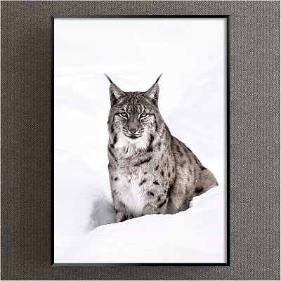 Realistic Animal Painting of Lynx in Snowy Winter Landscape with Detailed Fur 3d model