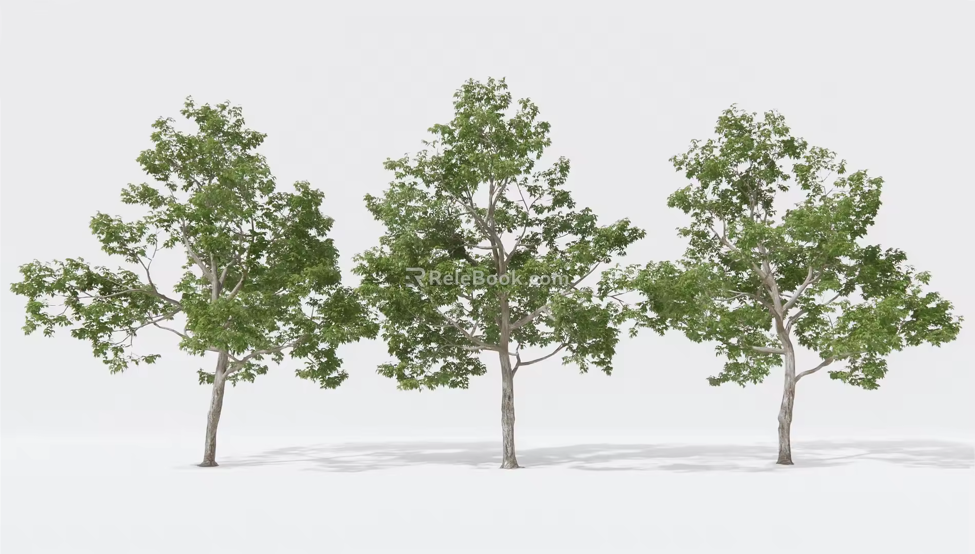 Modern Tree Landscape Tree Big Tree Garden Tree 3d model