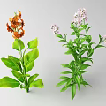 Vibrant Orange And Pink Decorative Flowers With Fresh Green Leaves And Stems