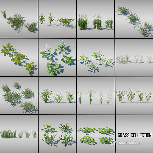 Diverse Flower and Grass Varieties in Garden Design Collection with Green Foliage 3d model 