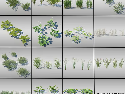 Diverse Flower and Grass Varieties in Garden Design Collection with Green Foliage 3d model