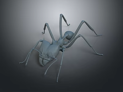 Realistic Detailed 3D Ant Model With Long Legs And Segmented Body 3d model