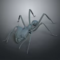 Realistic Detailed 3D Ant Model With Long Legs And Segmented Body