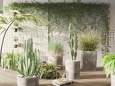 Indoor Potted Plants With Various Species In Decorative Pots And Green Wall Backdrop 3d model