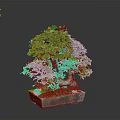 Bonsai Plant With Lush Green Leaves Thick Trunk And Moss In Square Pot