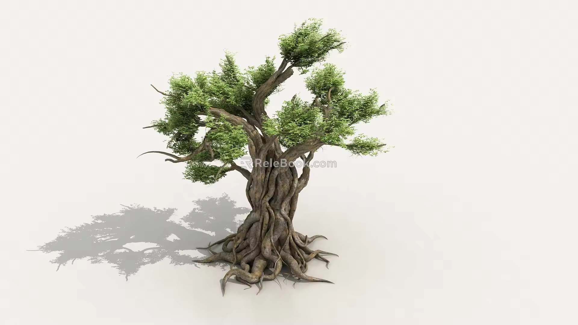 ancient tree banyan tree evergreen banyan tree whisker fine leaf banyan vine tree big tree 3d model