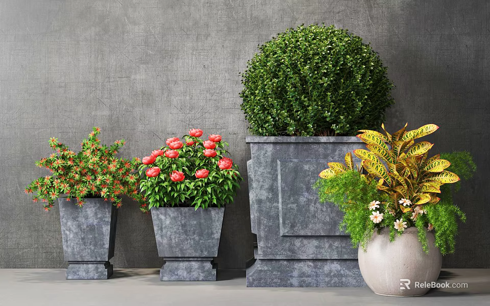 Diverse Potted Plants With Red Flowers Green Balls Yellow Leaves In Stone Planters Grey Wall 3d model 