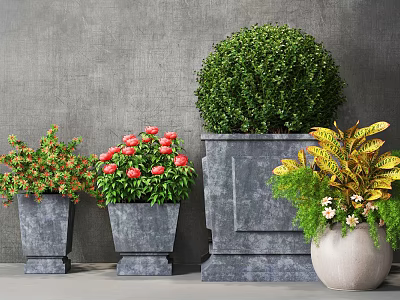 Diverse Potted Plants With Red Flowers Green Balls Yellow Leaves In Stone Planters Grey Wall 3d model
