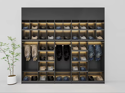 Modern Dark Colored Display Shelving With Layered Compartments For Shoes And Apparel 3d model